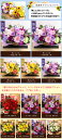 bunbunbee:10003543のサンプル画像3