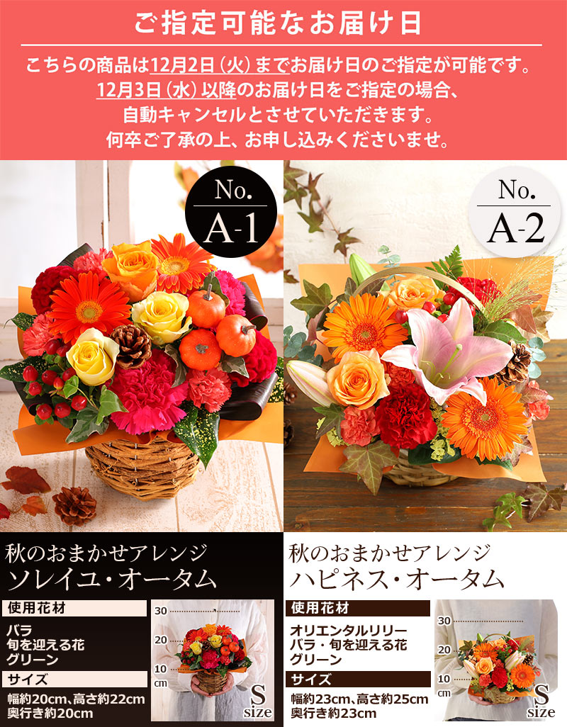 【最短 翌日届け 14時まで】花 誕生日 ギフト おまかせ アレンジメント Sサイズ 誕生日プレゼント 生花 お花 女性 母 妻 バラ 薔薇 ユリ バルーン お祝い 花束 プレゼント バースデー 結婚記念日 結婚祝 退職祝 フラワー 画像配信 冬 クリスマス