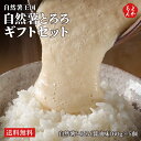 自然薯とろろギフトセット【送料無料】自然薯王国 九州 福岡 お取り寄せグルメ 福岡県よかもんショップ ...