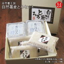 自然薯麦とろセット【送料無料】自然薯王国 九州 福岡 お取り寄せグルメ 福岡県よかもんショップ basic