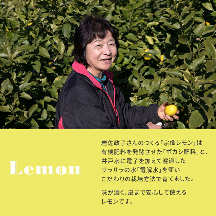 宗像の自然の恵みがたっぷり詰まった塩レモンケーキと、宗像の自然でのびのび育った牛肉をゴロッと贅沢に使いましたむなかた牛カレーのセット【送料無料】オルトアンドカンパニー　九州 福岡 お取り寄せグルメ 福岡県よかもんショップ basic bussan-f-10000193 福岡県よかもんショップ サンプル画像3