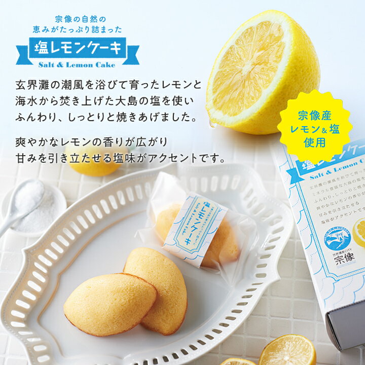 宗像の自然の恵みがたっぷり詰まった「塩レモンケーキ」2箱セット【送料無料】オルトアンドカンパニー福岡お取り寄せ福岡県よかもんショップ