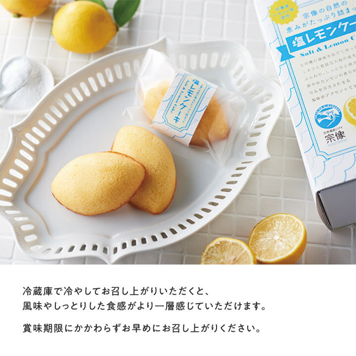 宗像の自然の恵みがたっぷり詰まった「塩レモンケーキ」2箱セット【送料無料】オルトアンドカンパニー福岡お取り寄せ福岡県よかもんショップ