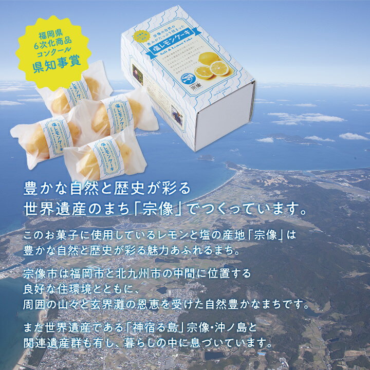 宗像の自然の恵みがたっぷり詰まった「塩レモンケーキ」2箱セット【送料無料】オルトアンドカンパニー福岡お取り寄せ福岡県よかもんショップ