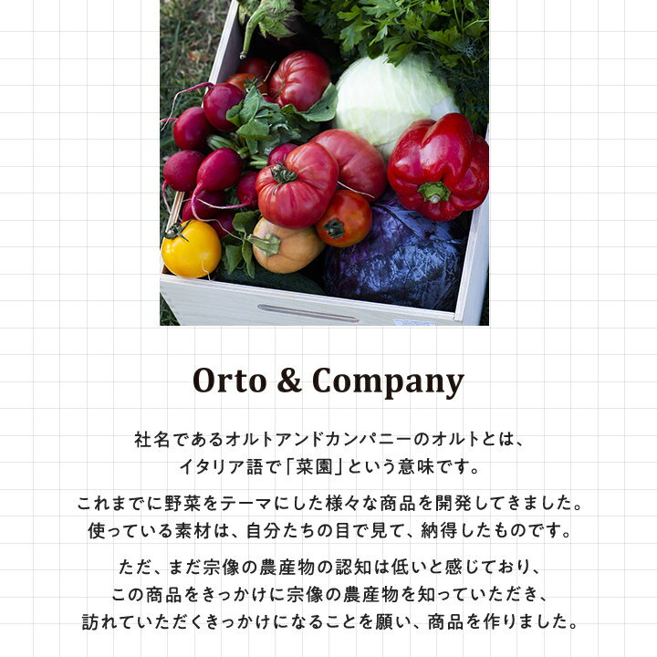 宗像の自然の恵みがたっぷり詰まった「塩レモンケーキ」2箱セット【送料無料】オルトアンドカンパニー福岡お取り寄せ福岡県よかもんショップ