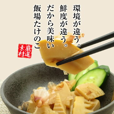 飯場(いいば)たけのこ 3種食べ比べセット(とんこつスープ炊き・辛子明太子使用・土佐酢漬け)【送料無料】バンブーさわらの郷合同会社 九州 福岡 お取り寄せ 福岡県よかもんショップ basic