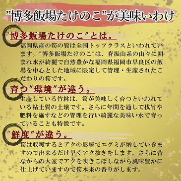 飯場(いいば)たけのこ 3種食べ比べセット(とんこつスープ炊き・辛子明太子使用・土佐酢漬け)【送料無料】バンブーさわらの郷合同会社 九州 福岡 お取り寄せ 福岡県よかもんショップ basic