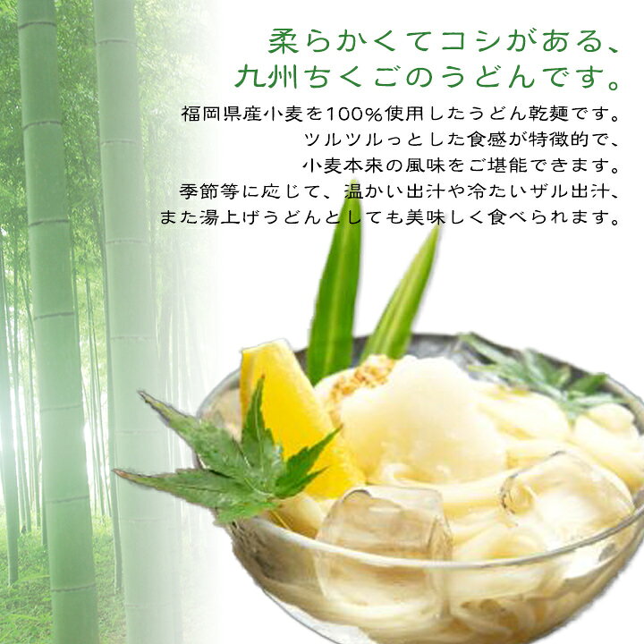 九州ちくごうどん15袋入り（100g×15）【送料無料】たけ屋 乾麺 九州 福岡 お取り寄せグルメ 福岡県よかもんショップ basic bussan-f-10000487 福岡県よかもんショップ サンプル画像3