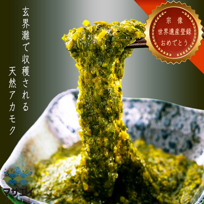 サンプル画像2
