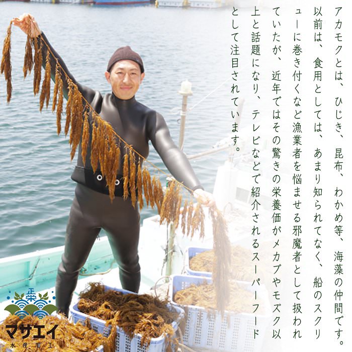 サンプル画像3