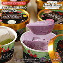 ふくち☆リッチジェラート ミドル(9個入)【送料無料】福智ブランドファクトリー カタラーナ あまおう いちじく 黒豆 抹茶 きなこ バニラ ブルーベリー 涼菓 アイスクリーム 氷菓 アイスミルク 九州 福岡 お取り寄せグルメ 福岡県よかもんショップ basic