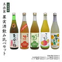 玉出泉 果実酒飲み比べセット 720ml 5本【送料無料】【大賀酒造】【福岡で一番古い酒蔵】大賀酒造 九州 福岡 お取り寄せグルメ 福岡県よかもんショップ basic