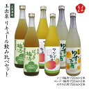 玉出泉 リキュール飲み比べセット 720ml*6本【送料無料】大賀酒造【福岡で一番古い酒蔵】 九州 福岡 お取り寄せグルメ 福岡県よかもんショップ basic