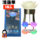 【無料ギフト対応】清蓮華 とうろう 1個入 LEDコースター カップ付ローソク ギフトセット 蓮 ペガサスキャンドル 蝋燭 仏壇 仏具 お盆用品 彼岸 仏事 贈...