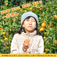 三ケ日まるごとみかんシロップ漬け900g瓶瓶詰め無添加スイーツビン青島みかん温州みかん三ケ日産まるごとみかん