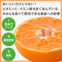 三ケ日まるごとみかんシロップ漬け900g瓶瓶詰め無添加スイーツビン青島みかん温州みかん三ケ日産まるごとみかん