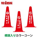 マーク入り標語入りカラーコーン赤【私有地につき駐車禁止/私有地につき立入禁止/私有地につき通り抜け禁止】(三角コーン 三角ポール パイロン ラバーコーン 工事現...