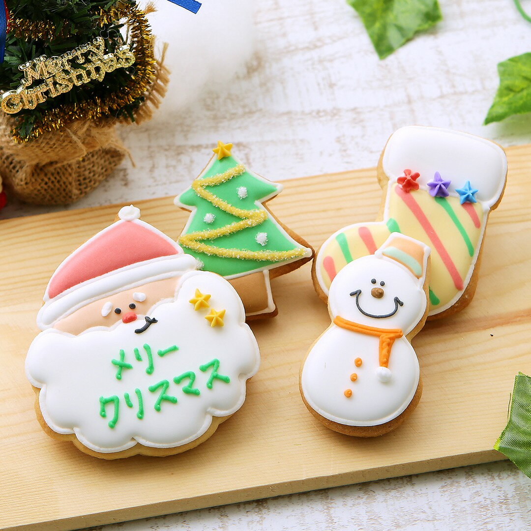 クリスマスプレゼントにアイシングクッキー クッキー クリスマス ギフト 詰め合わせ サンタ かわいい お菓子 名入れ　文字入れ　プチギフト