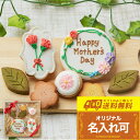 【送料無料 お母さんギフトB】アイシングクッキークッキー かわいい お菓子 お母さん 母の日 ギフト詰合せ 名入れ 文字入れ プチギフト クッキー ギフト アイ...