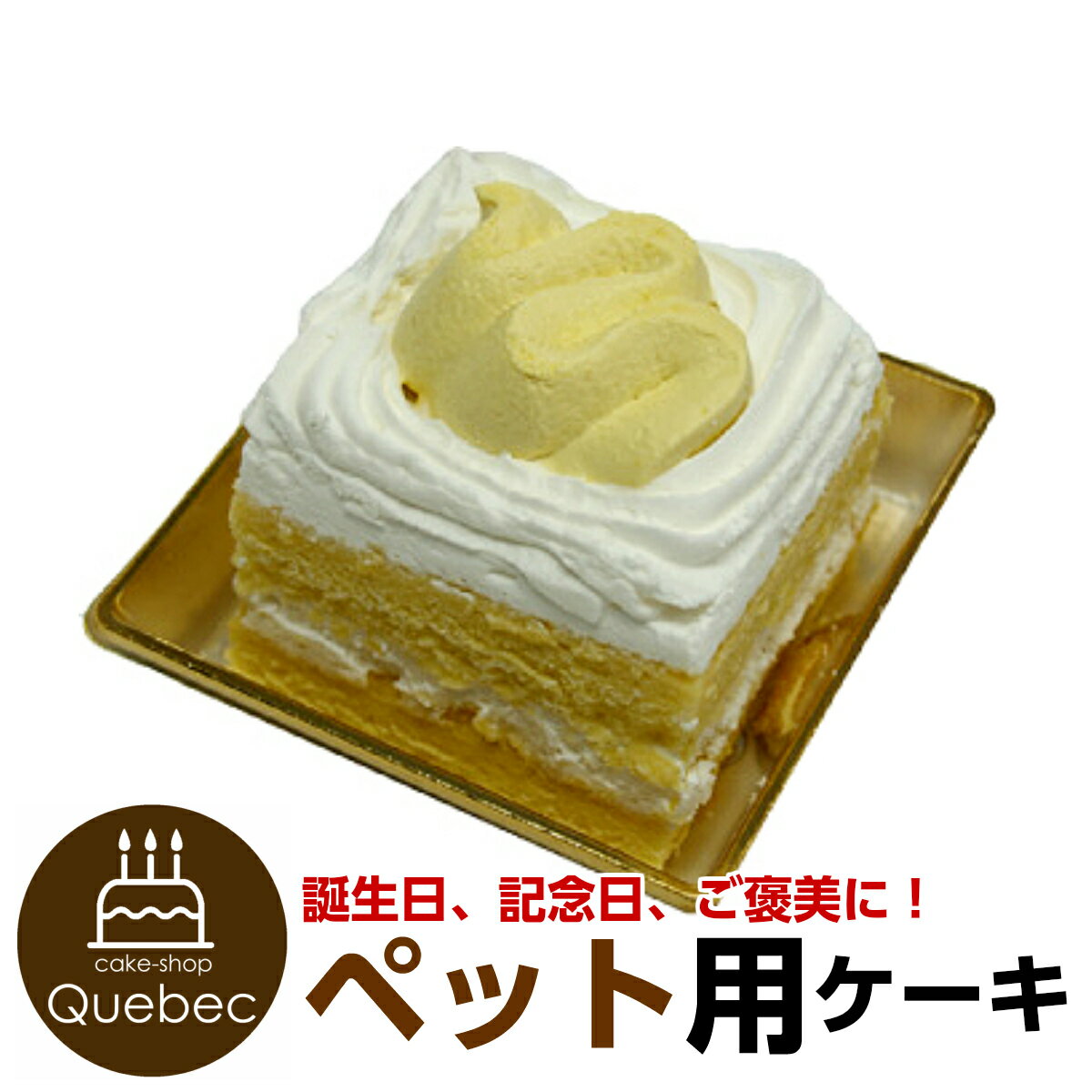 コミフ かぼちゃと豆乳のショートケーキ ペットケーキ ペット用ケーキ 誕生日ケーキ バースデーケーキ 犬用 ワンちゃん用