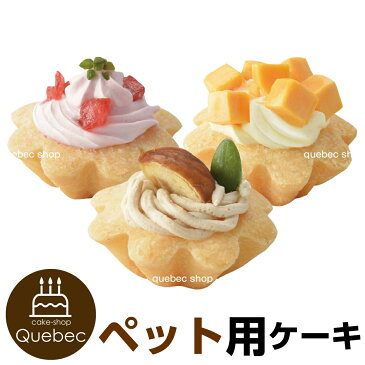 誕生日ケーキ バースデーケーキ 犬用 ワンちゃん用 プチタルトケーキセット (苺、栗、チーズ) ペットケーキ ペット用ケーキ ジャペル