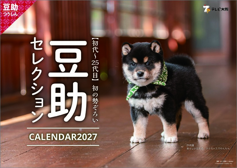 豆助セレクション 2027年 カレンダー CL270396 カレナビ おしゃれ かわいい インテリア シンプル お洒落 プレゼントやプチギフトにも