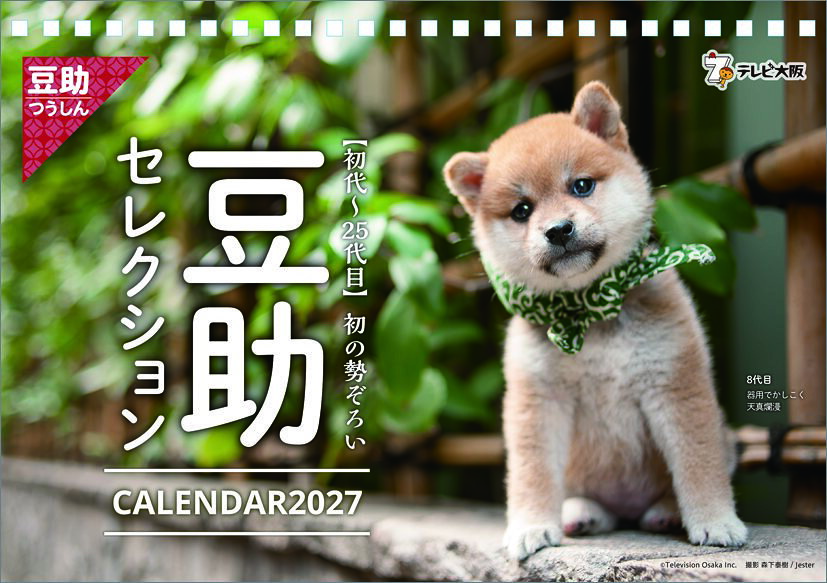 卓上 豆助セレクション 2027年 カレンダー CL270397 カレナビ おしゃれ かわいい インテリア シンプル お洒落 プレゼントやプチギフトにも