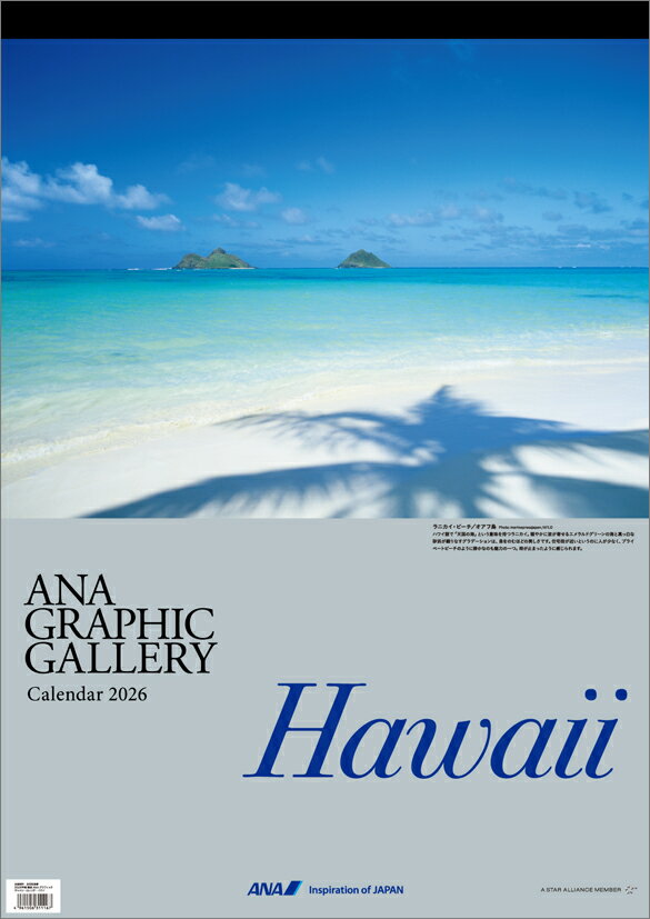 ANA�֥���ե��å������꡼ �ϥ磻�� 2026ǯ �������� CL26-1144 ����ʥ� ������� ���襤�� ����ƥꥢ ����ץ� ��ޯ�� �ץ쥼��Ȥ��...