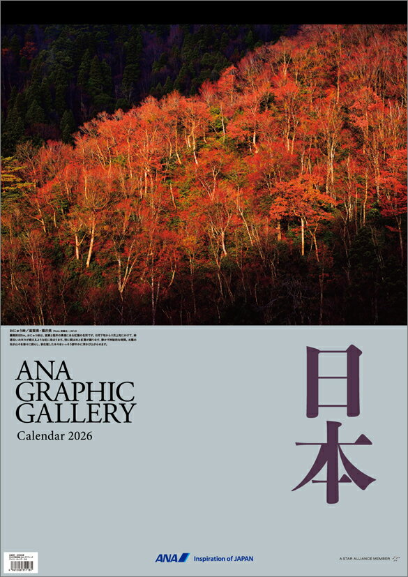 ANA�֥���ե��å������꡼ ���ܡ� 2026ǯ �������� CL26-1146 ����ʥ� ������� ���襤�� ����ƥꥢ ����ץ� ��ޯ�� �ץ쥼��Ȥ�ץ�...