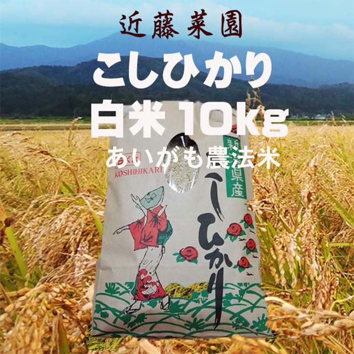 【令和5年度】新潟県