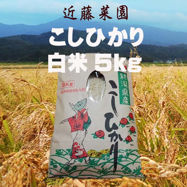 【令和5年度】 新潟県産 コシヒカリ 5kg 新米 お米 白米 おこめ 精米 単一原料米 ブランド米 送料無料 国内産 国産