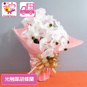 キャンディー フラワー 胡蝶蘭 送料無料 光触媒 造花 ギフト 開店祝い プレゼント 花 誕生日 女性 母 女友達 退職祝い 上司 還暦祝い 結婚記念日 お祝い...