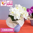 キャンディー フラワー アレンジ 送料無料 ブーケ ギフト オレンジ ピンク 水色 花 造花 誕生日 プレゼント ギフト 女性 母 祖母 女友達 退職祝い 上司...