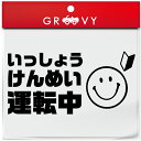 運転 初心者 マーク 乗ってます 車 ステッカー ver2 スマイル ニコちゃん ペーパードライバー 素人 運転中 かわいい おしゃれ ブランド シール グッズ 防水 エンブレム アクセサリー 雑貨