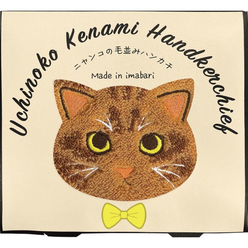 【冬ギフト】Uchinoko　mate　毛並みハンカチ（茶トラ）(UNJ801)＿プチギフト　プレゼント　記念品　お祝い　女性向け　可愛い