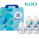 【お返し好適品】花王 ビオレu 泡ハンドソープギフト K・BHL