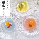 マラソンセール特価【夏ギフト】京都宇治 菓楽 涼々ゼリー詰合せ E-8000_和菓子 金魚ゼリー 涼菓子 水菓子 夏菓子 セット 詰め合わせ スイーツ お中元 御中元 ギフト 贈り物 贈答用