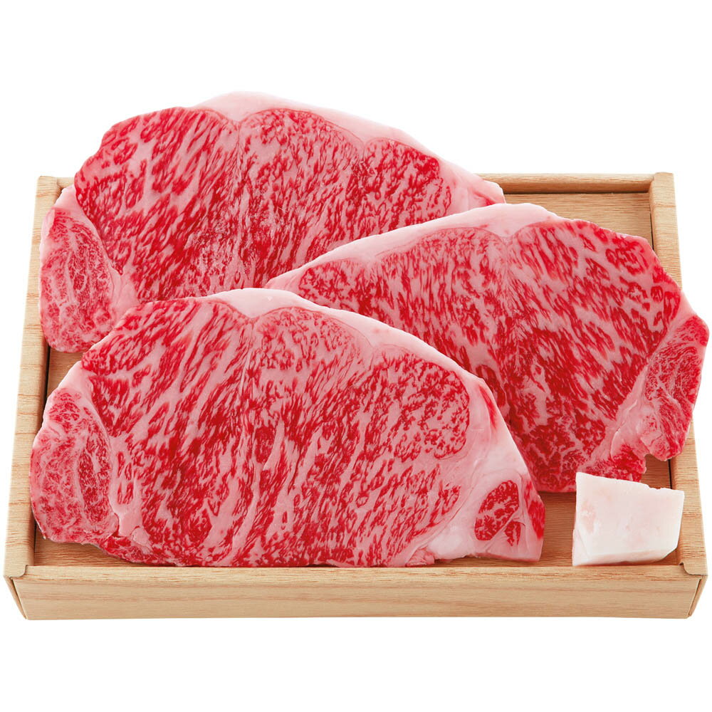 マラソンセール特価【夏ギフト】飛騨牛 サーロインステーキ用 T5-3＿精肉 牛肉 和牛 ブランド牛 冷凍 御中元 お中元 贈答用 高級ギフト