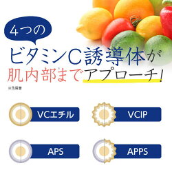 プラスホワイトゲルVC