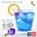 バタフライピー ティーパック 40包 20包入×2袋 ハーブティ 蝶豆 アンチャン ButterFlyPea 健康茶 ハーブ バタフライピーティー ティーバッグ 植物茶 バタフライピーティ