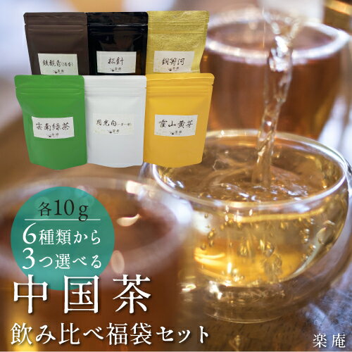 中国茶 飲み比べ セット 烏龍茶 紅茶 プーアル茶 ギフト 【福袋】 【中国茶 10g 楽庵 雲南緑茶 月光白 霍山黄芽 大紅袍 松針 銅菁河 鉄観音 君山銀針】 緑茶 ハロウィン 内祝い お返し お茶セット お茶 茶器 sale 蓋碗 お試し プレゼント 茶器 楽庵rakuan SSS