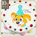 ≪写真ケーキ お祝い≫シェリーブランのキャラクターケーキ10...