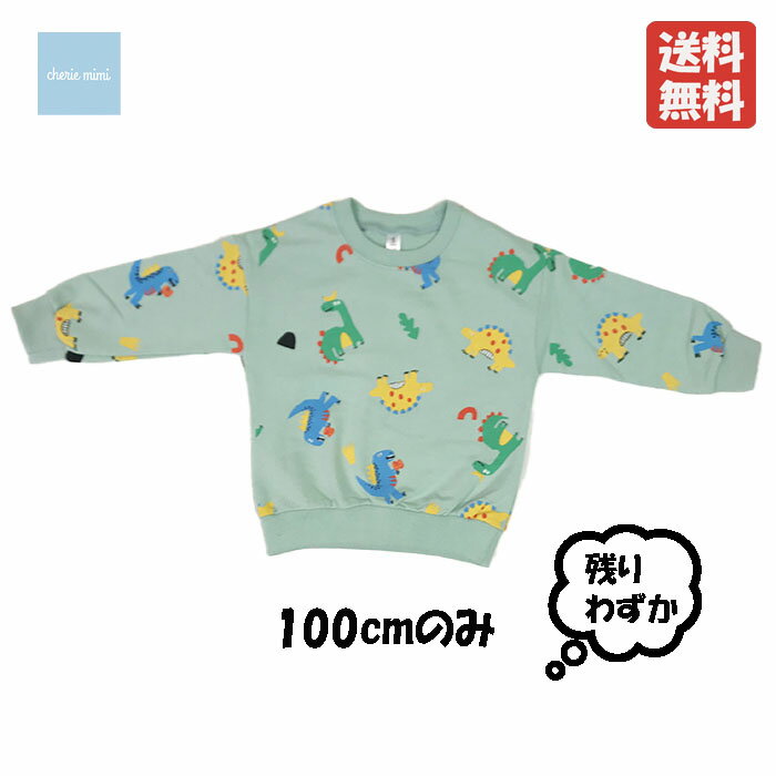 楽天Baby-Kids cheriemimiシェリーミミ韓国子供服 裏毛 長袖トレーナー 恐竜プリント 100 男の子 子供用 キッズ ベビー 可愛い お洒落 お洒落キッズファッション　【メール便送料無料】