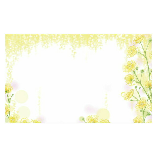 ̾ɥå ǥåɥߥˡ100ѥåˡDMM-028-CB