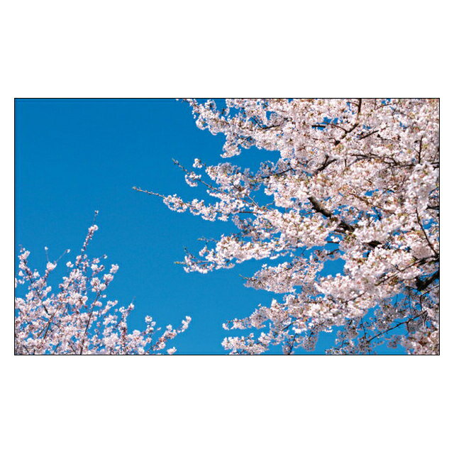 󥭥塼ɡ顡åɡߥˡ꡼ƥ󥰥ɡաפɡ꤬ȤɡǤȤɡ̾ɥå ...