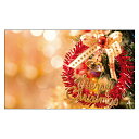 《クリスマスカード サンタクロース サンタ》気軽に使える名刺サイズのメッセージカード デザインメッセージカードミニ（100枚パック）［DMM-155-CB］