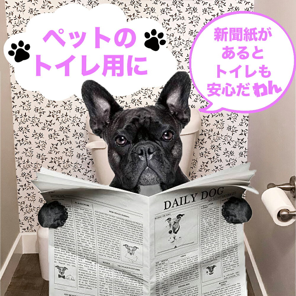 【送料無料即日発送】新聞紙古紙古新聞包装紙緩衝材アウトドアBBQ掃除油の処理書道ペットトイレシート引っ越し5kg約30日分