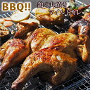 【 送料無料 】 バーベキュー BBQ 鶏の丸焼き スパッチ