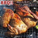 【 送料無料 】 バーベキュー BBQ 鶏の丸焼き スパッチ