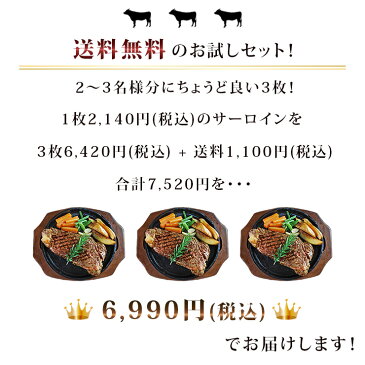 【 送料無料 】 ステーキ 肉 ステーキ肉 サーロイン 厚切り サーロインステーキ 300g 赤身肉 牛肉 赤身 バーベキュー 熟成肉 BBQ チルド 冷凍 贈り物 ギフト お祝い アウトドア キャンプ